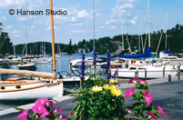 Sunapee Harbor, NH - Flowers